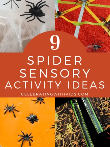 best spider sensory activity ideas