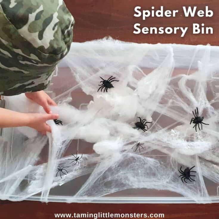 Image for Easy Spider Web Sensory Bin for Kids