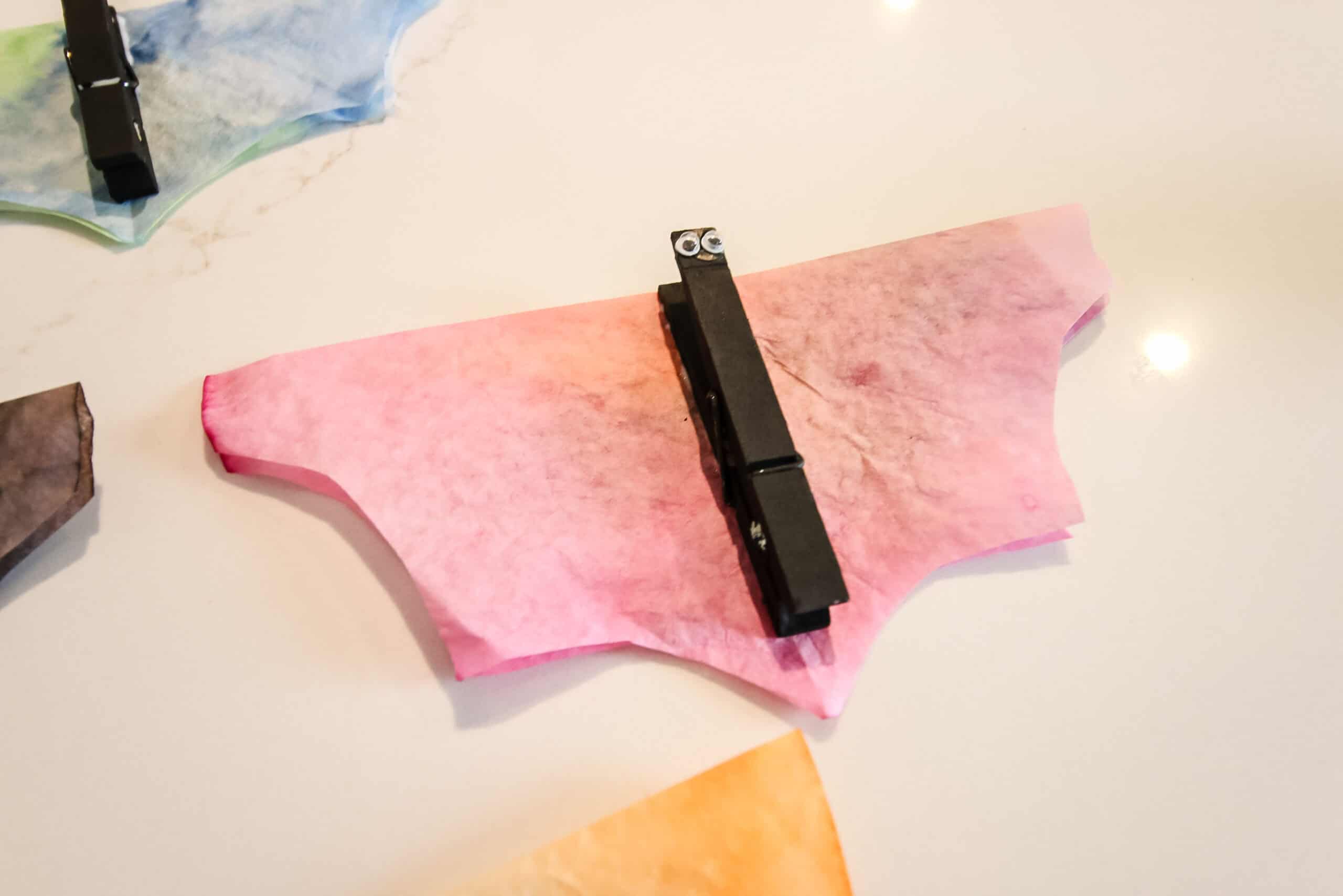 coffee filter bats