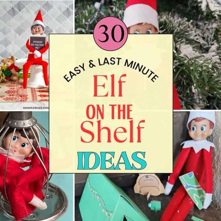 Image for 30 Elf on the Shelf Easy Last Minute Ideas!