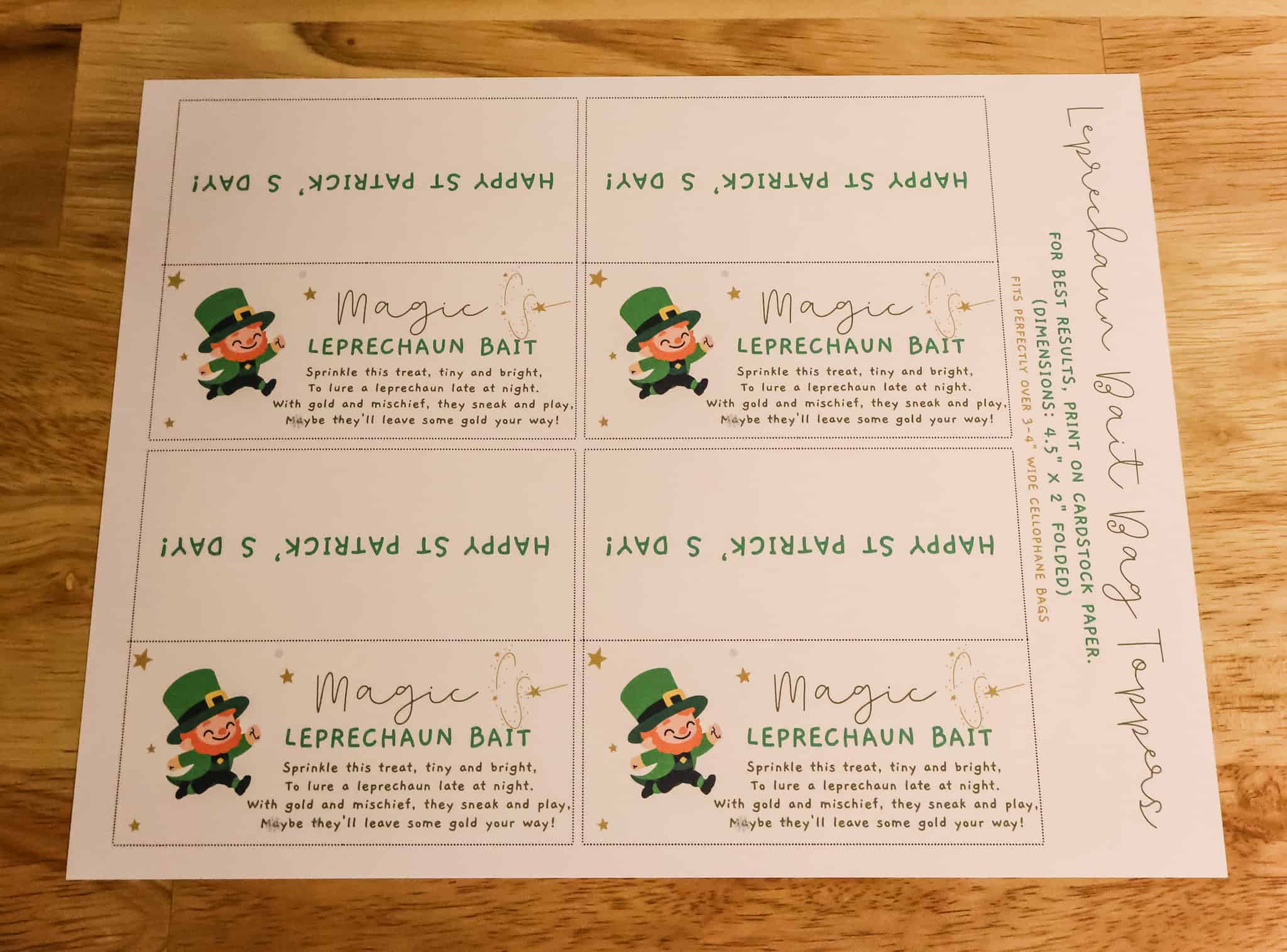 leprechaun bait printable