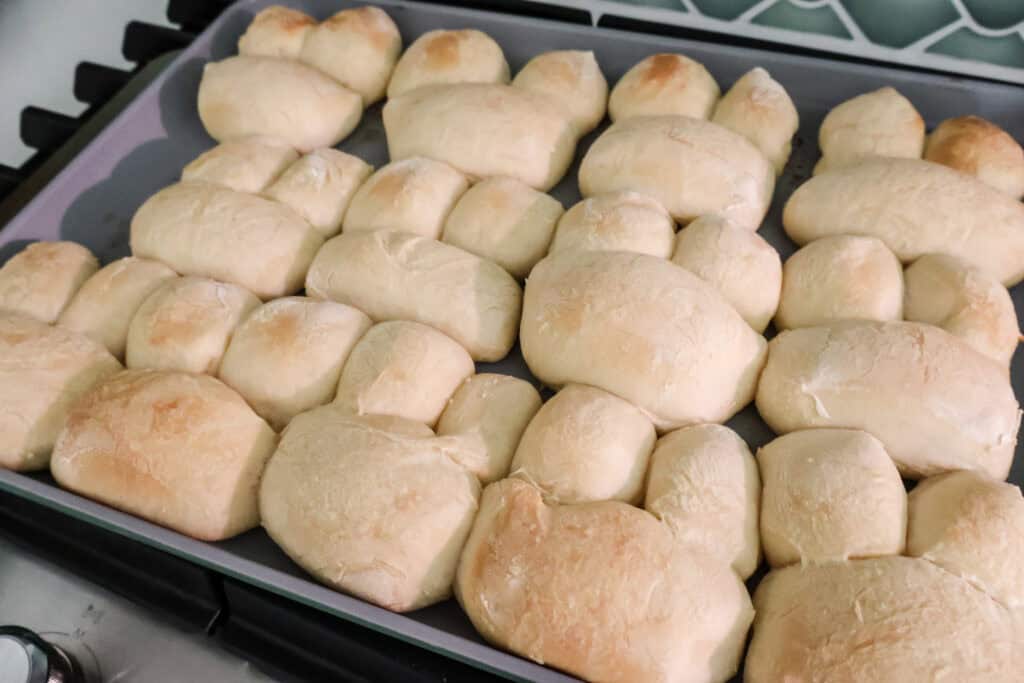 baked bunny rolls for easter