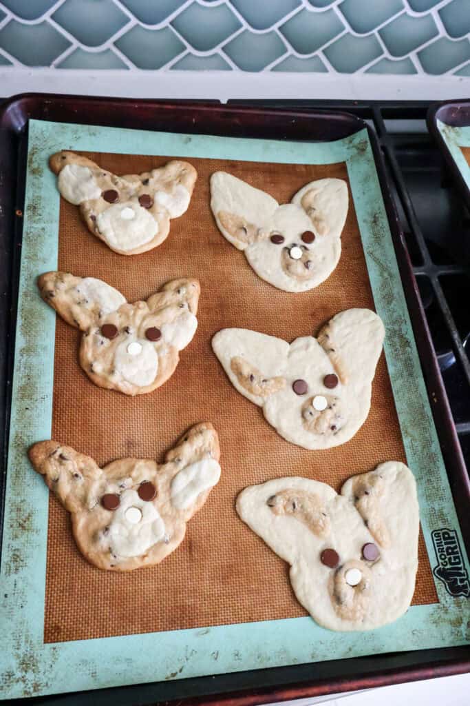 bunny cookies