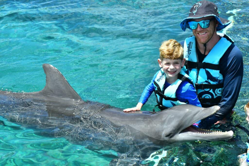 dolphins in cozumel