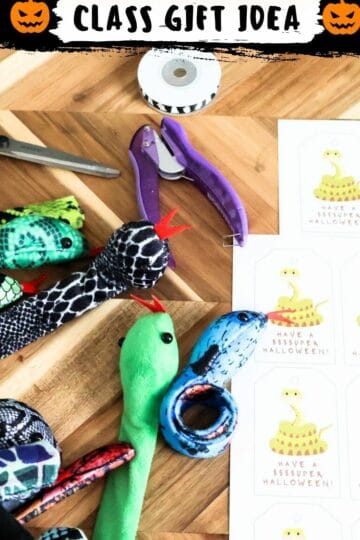 Halloween snake class gift idea