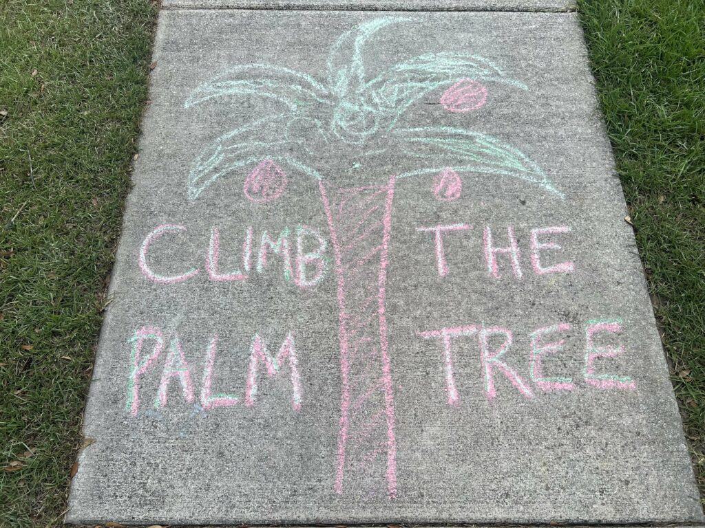 summer sidewalk chalk obstacle course - climb the palm tree