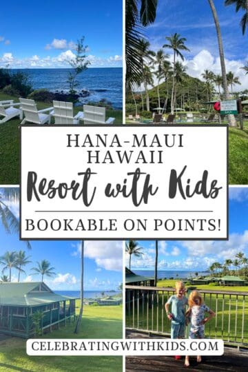 Hana Maui Pinterest Pin