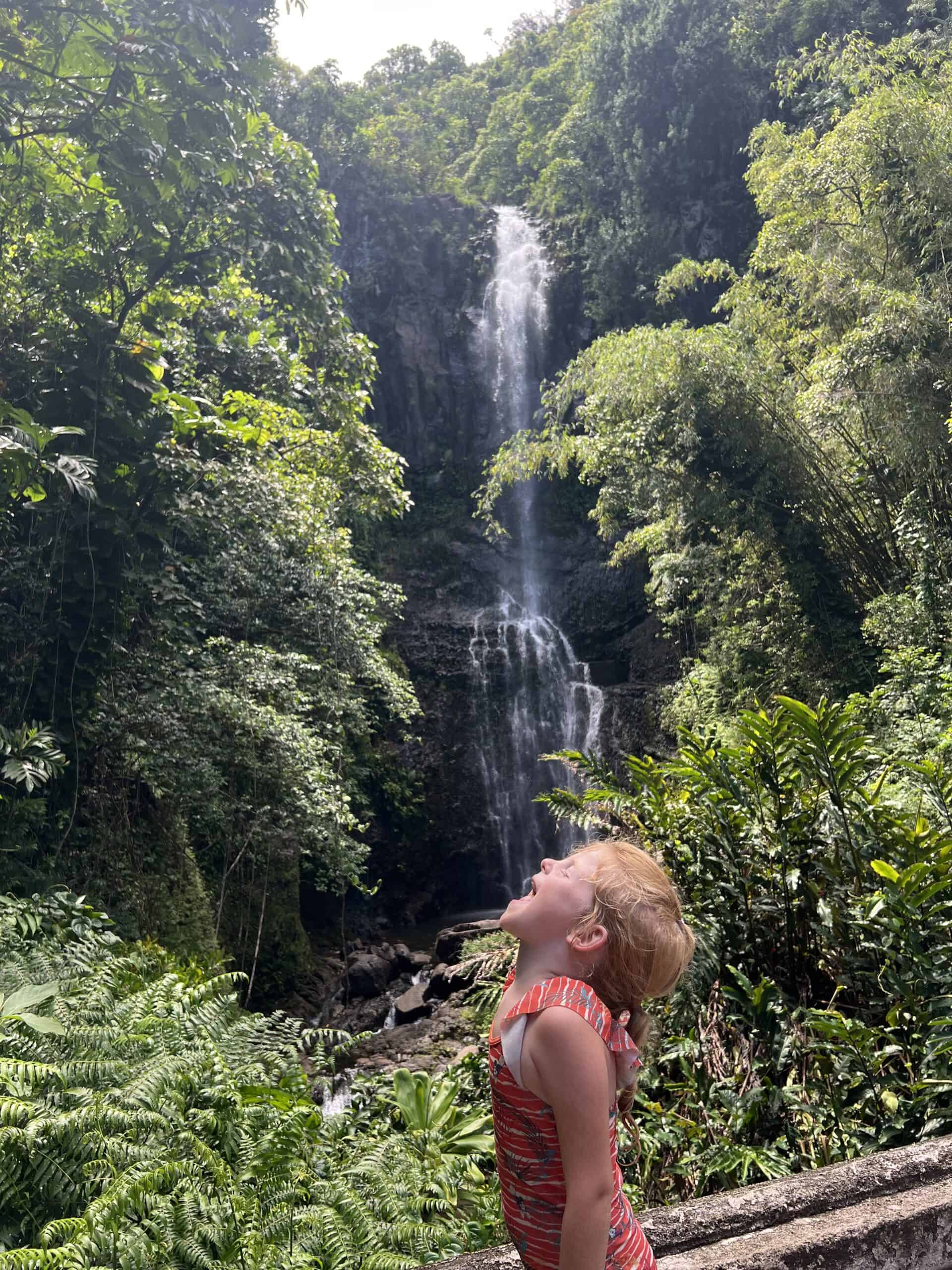 Wailua Falls - Maui Hawaii