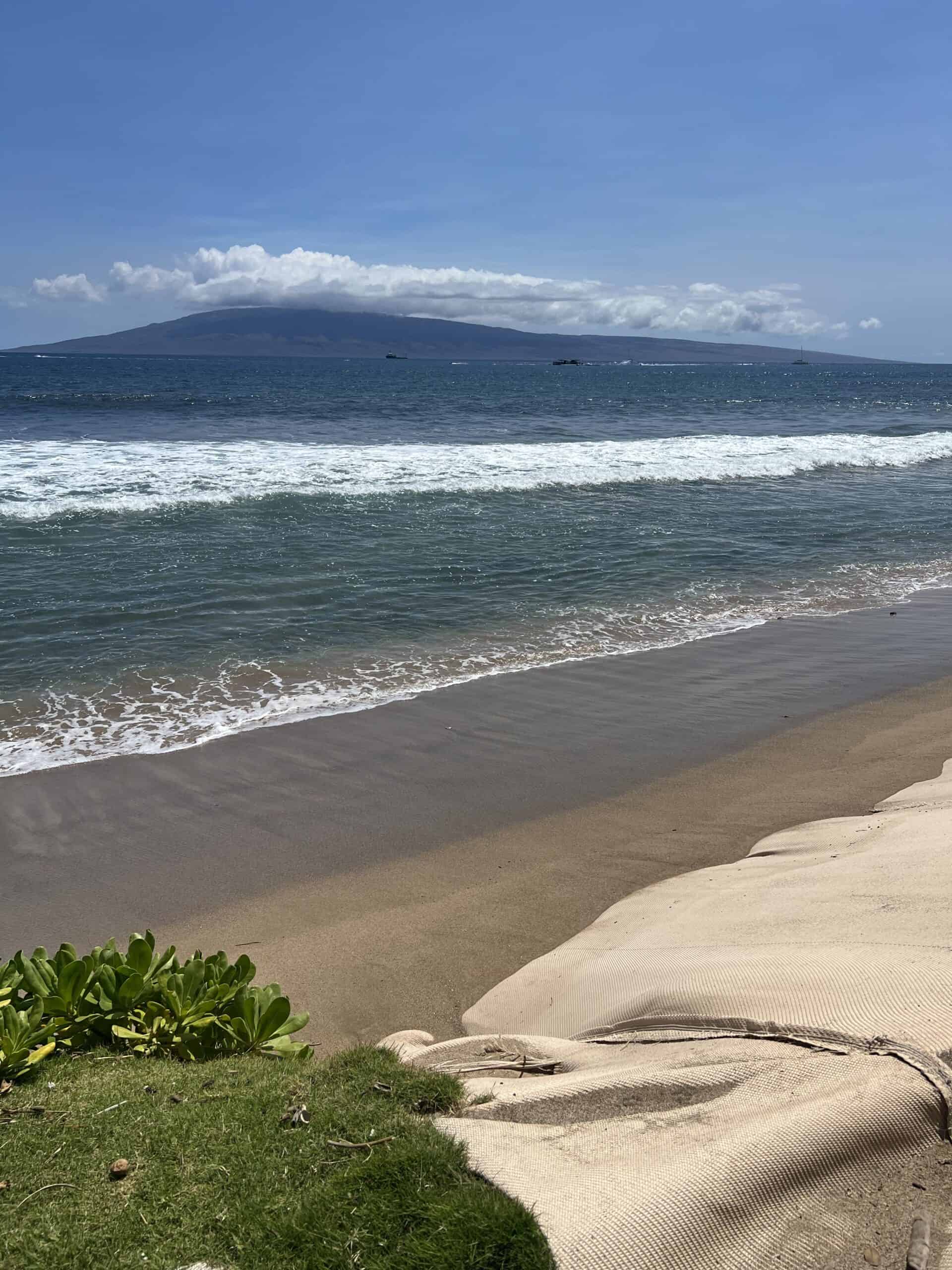 hyatt regency maui beach