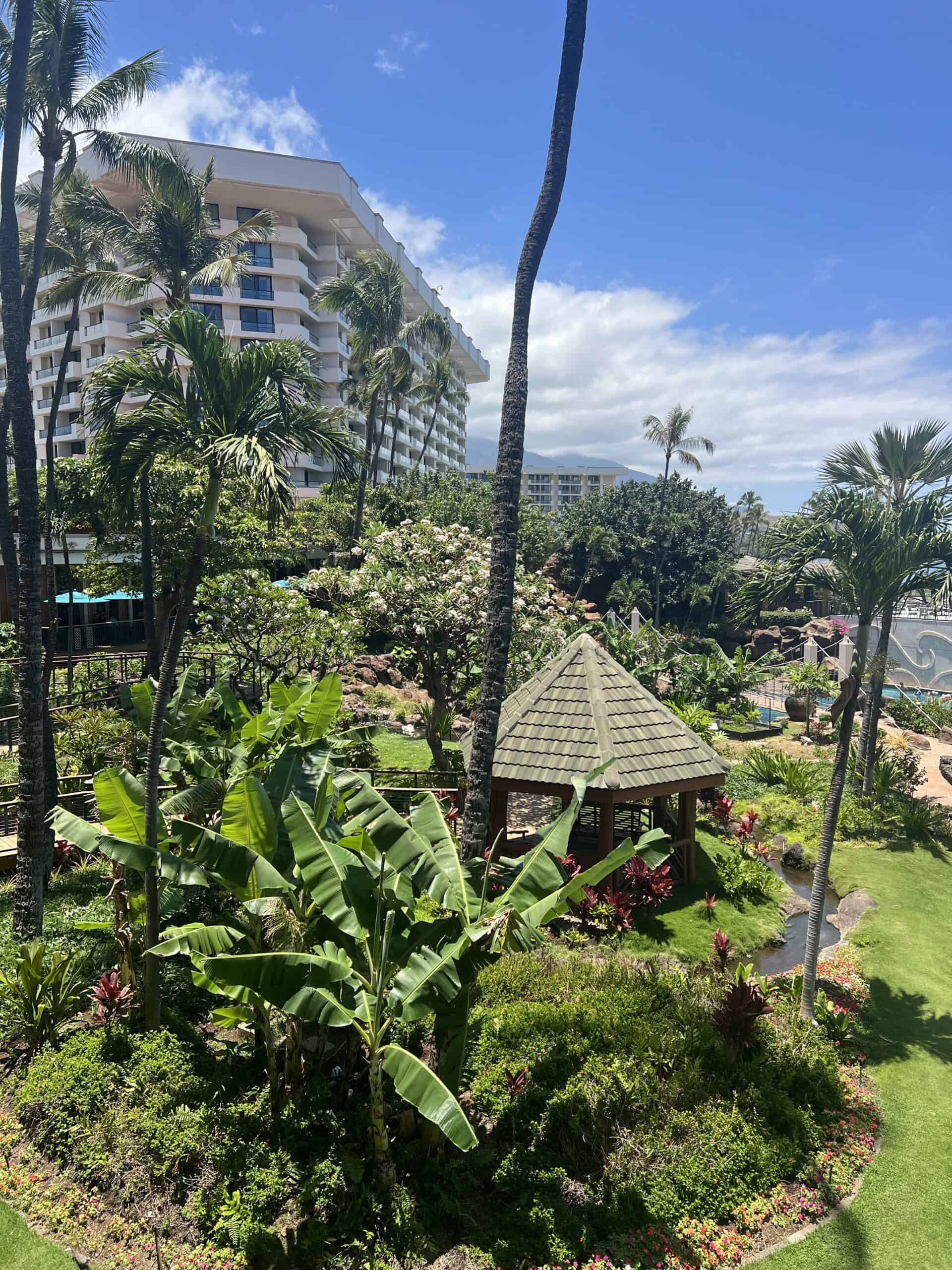 hyatt regency maui