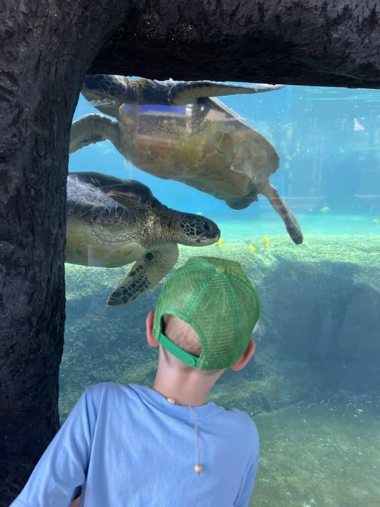 Maui Ocean Center