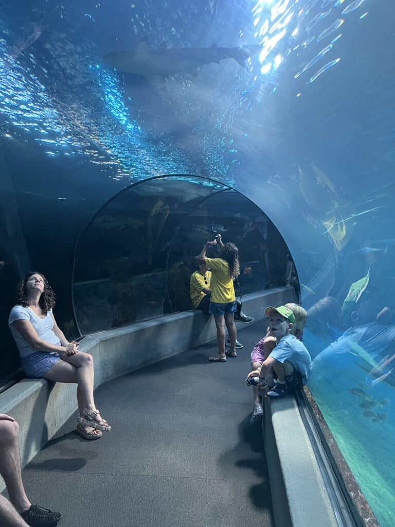 Maui Ocean Center