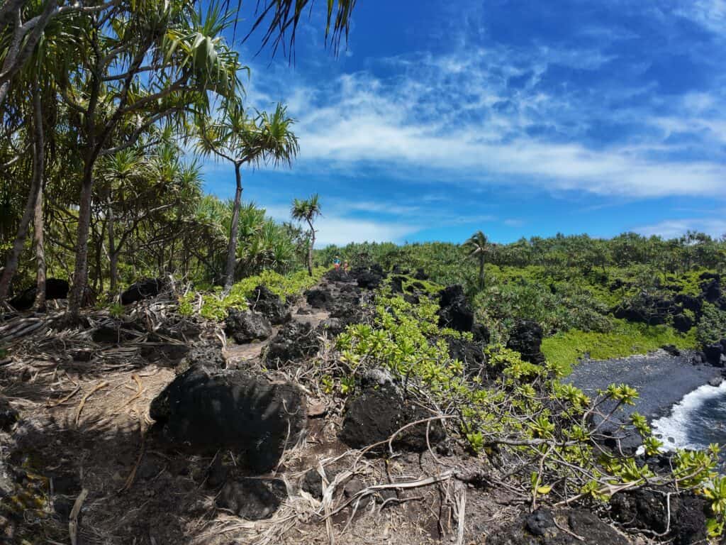 Black Sand Beach Hana Maui