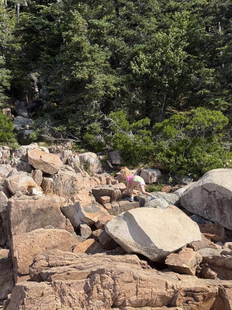 Acadia National Park with kids - Celebrating With Kids