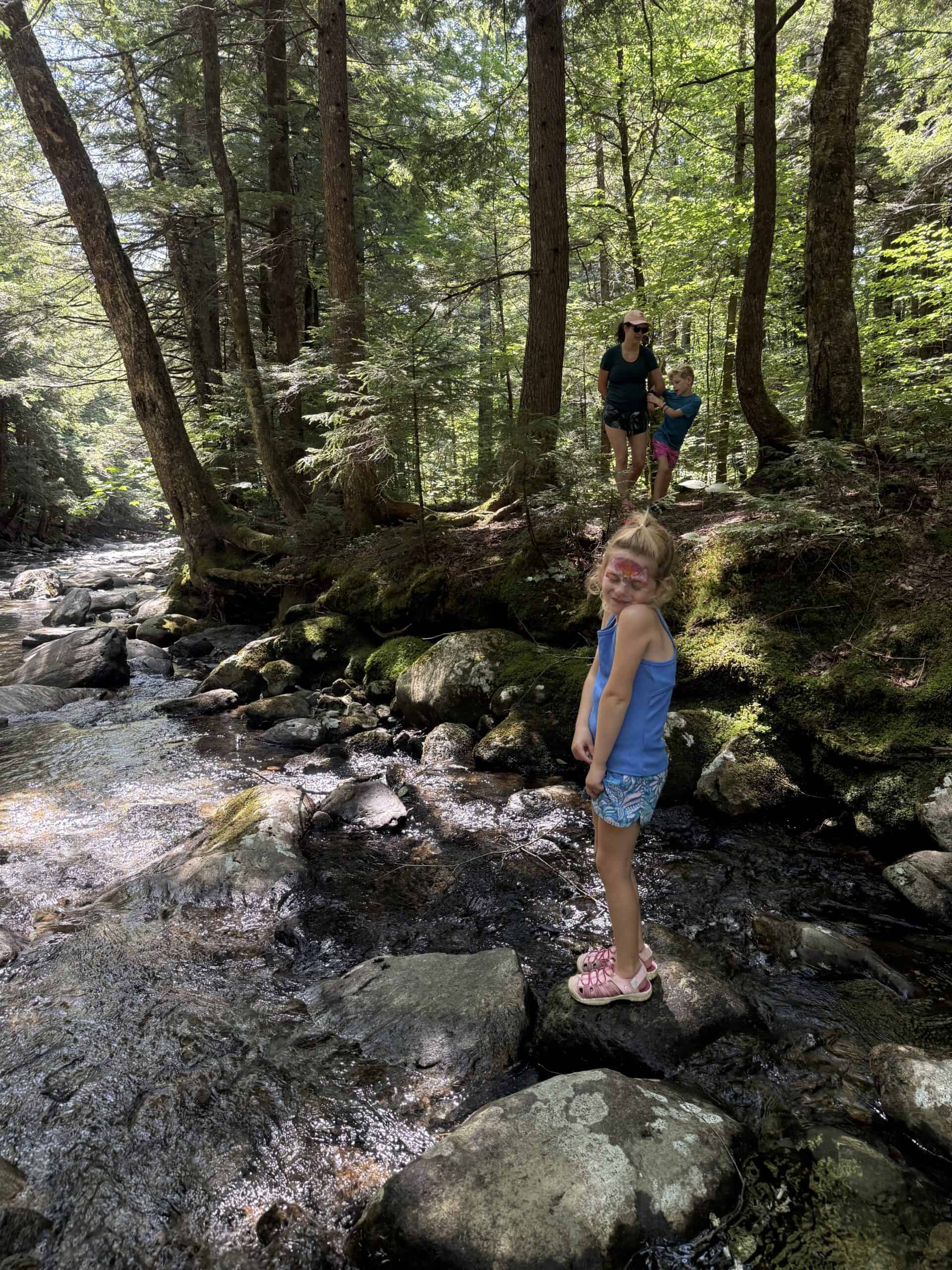 Bingham Falls Vermont
