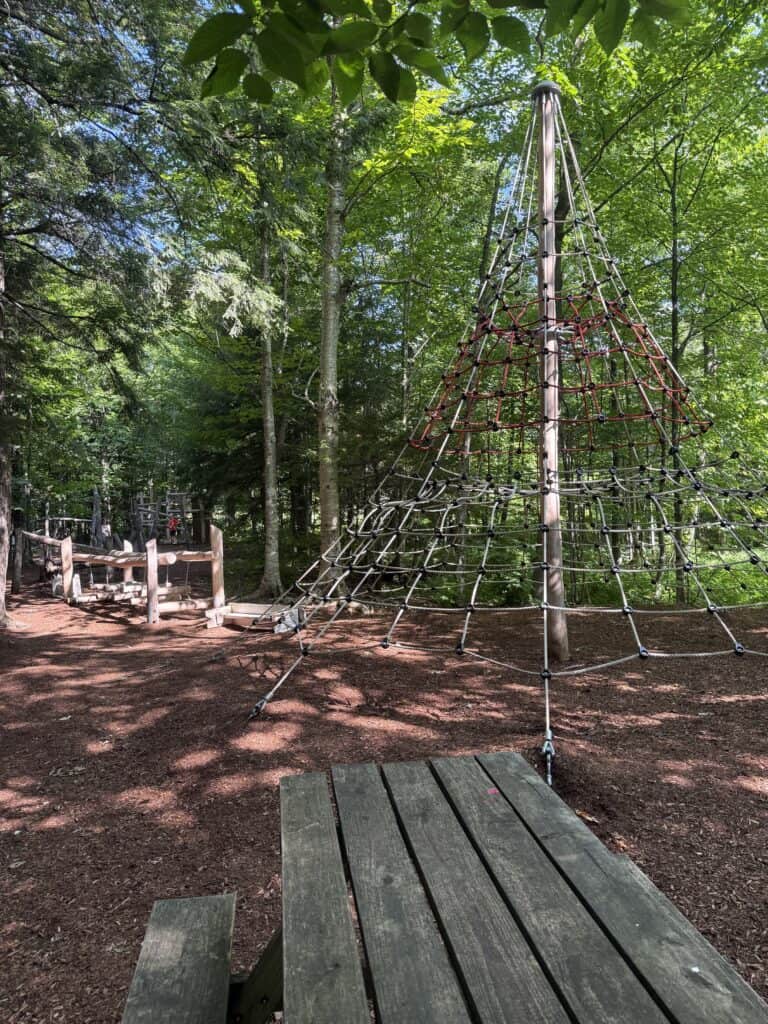 Enchanted Forest Playground
