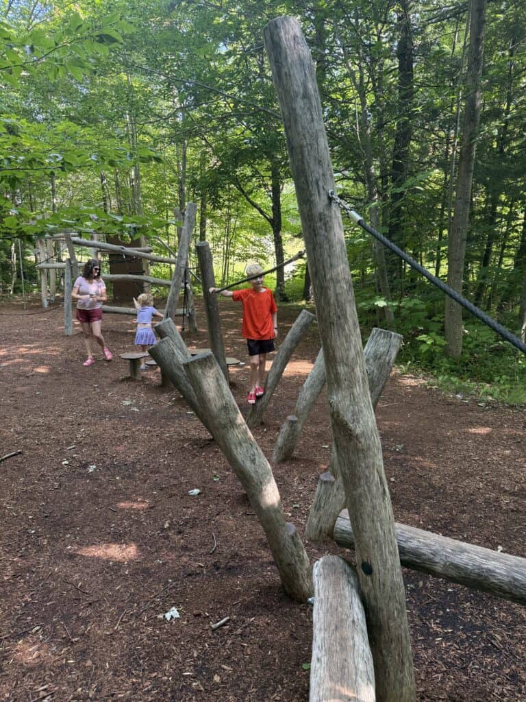 Enchanted Forest Playground
