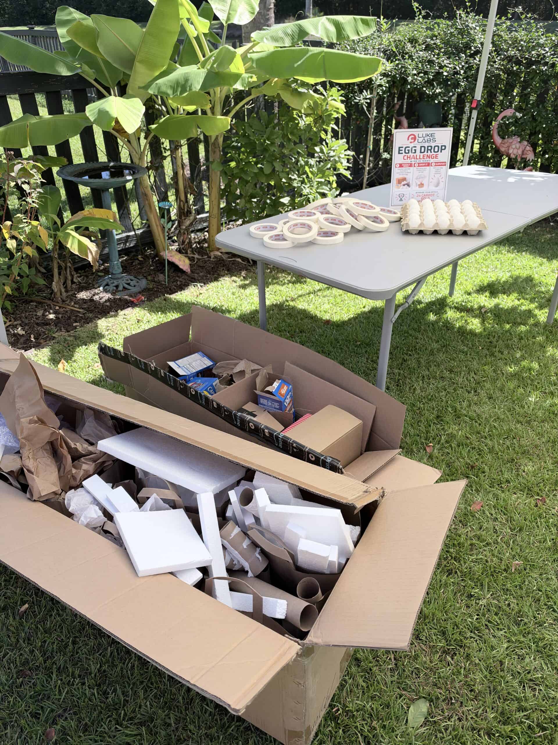 egg drop challenge