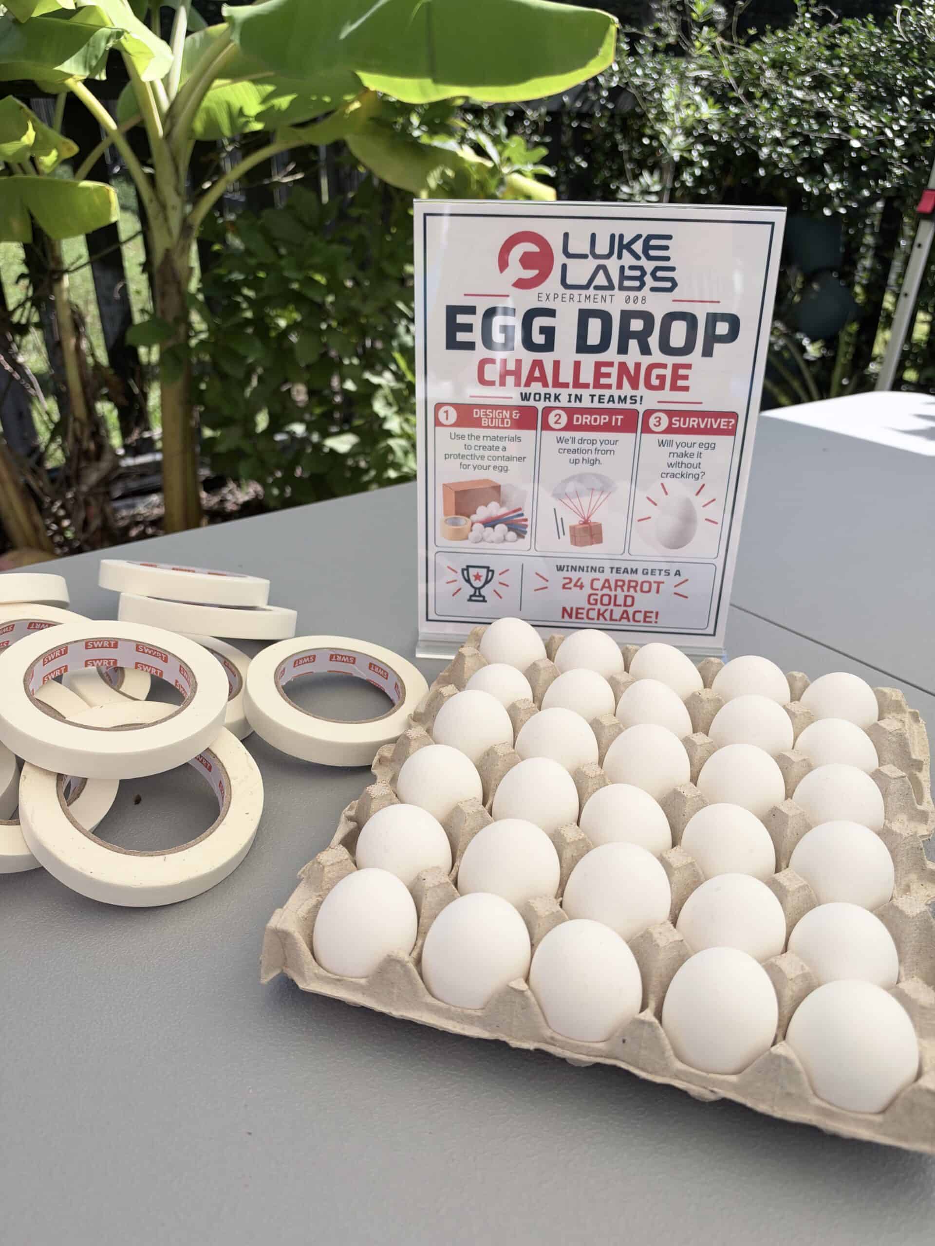 egg drop challenge