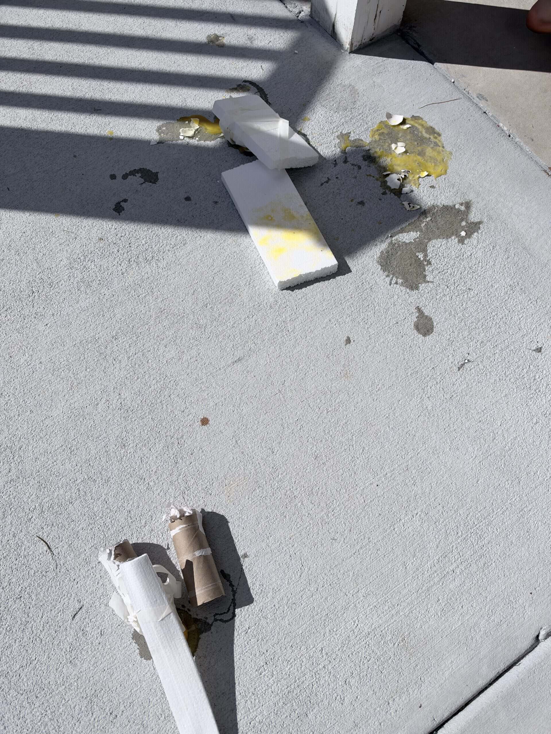 egg drop challenge