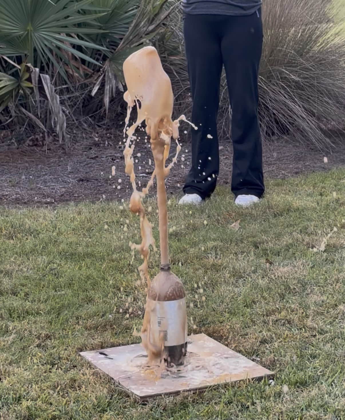 coke and mentos